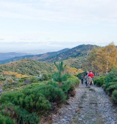 2  jours bivouac Cévennes (pour familles)