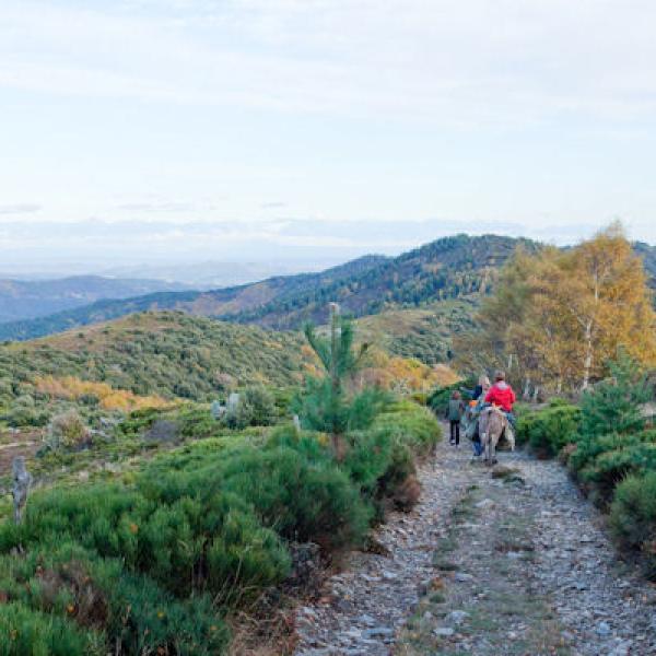 2  jours bivouac Cévennes (pour familles)