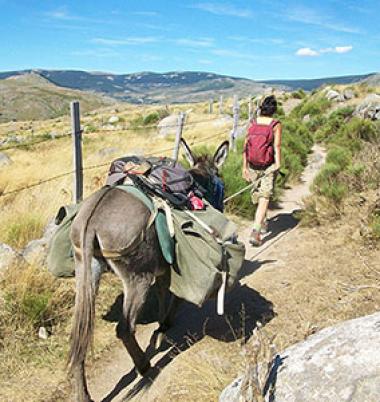 Randonnée 2 jours Mont Lozère (bons marcheurs)  