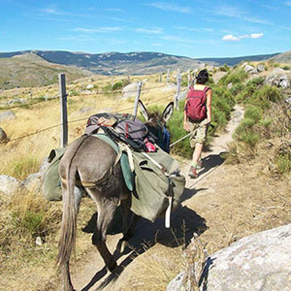 Randonnée 2 jours Mont Lozère (bons marcheurs)  