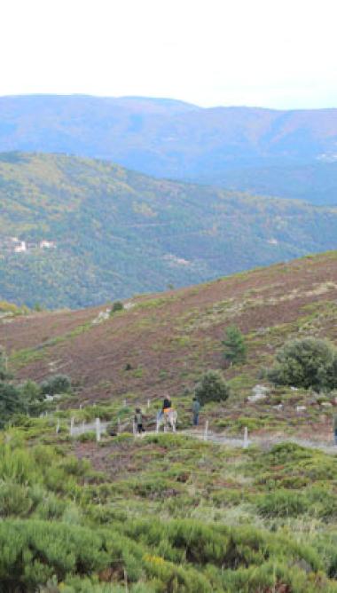 Circuit 4 jours en Cévennes  - 4C-16bis