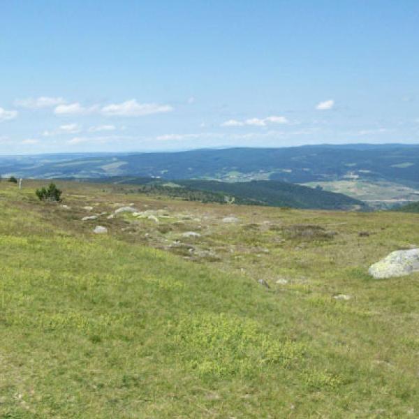 Circuit 4 jours Mont Lozère - 4ML-6