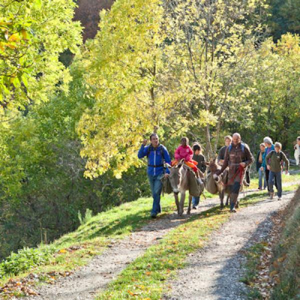 Circuit 2 jours « famille »  en Cévennes 