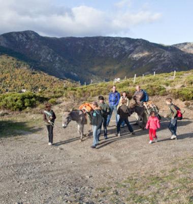 Circuit 3 jours : Les flancs du Mont Lozère  - 3ML-9