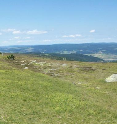 Circuit 3 jours Mont Lozère  (pour bon marcheurs)