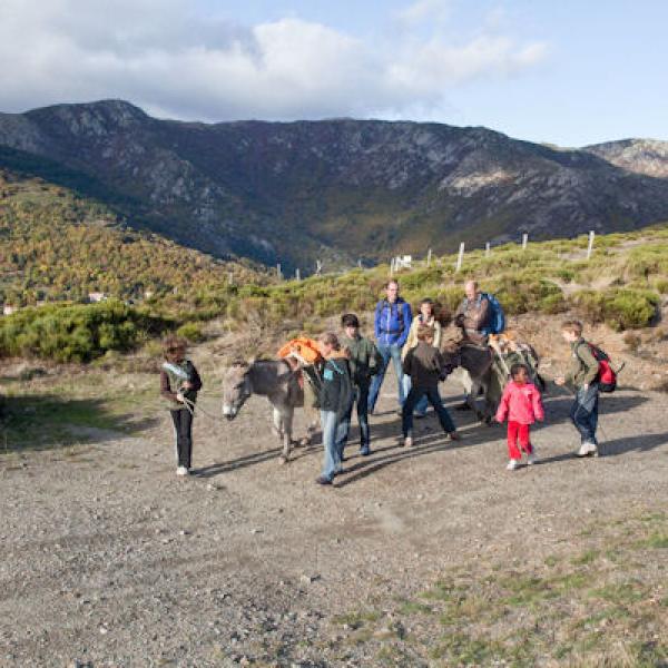 Circuit 3 jours Mont Lozère sud