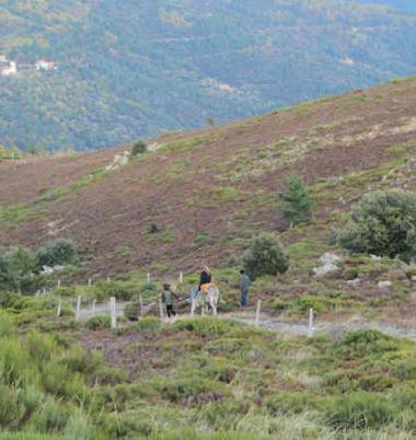 Circuit 6 jours entre Bougès et Mont Lozère   -  6BML-5