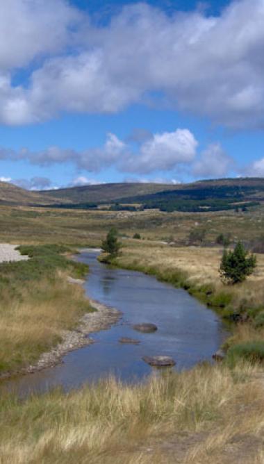 Circuit 6 jours : Les flancs du Mont Lozère  - 6ML-4