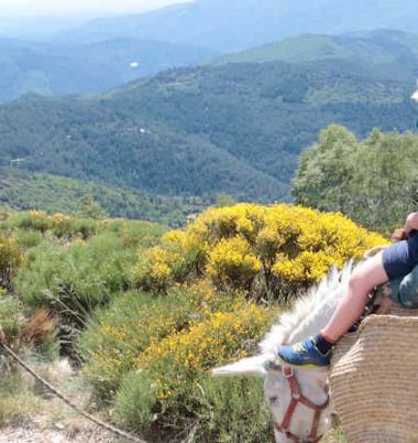 Circuit 7 jours entre Cévennes et Mont Lozère  -  7 CML-16