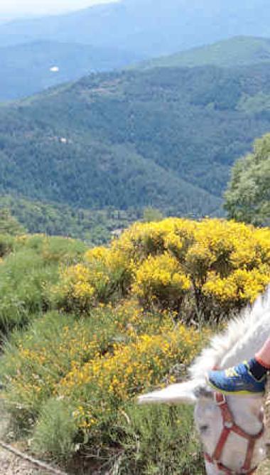 Circuit 7 jours entre Cévennes et Mont Lozère  -  7 CML-16