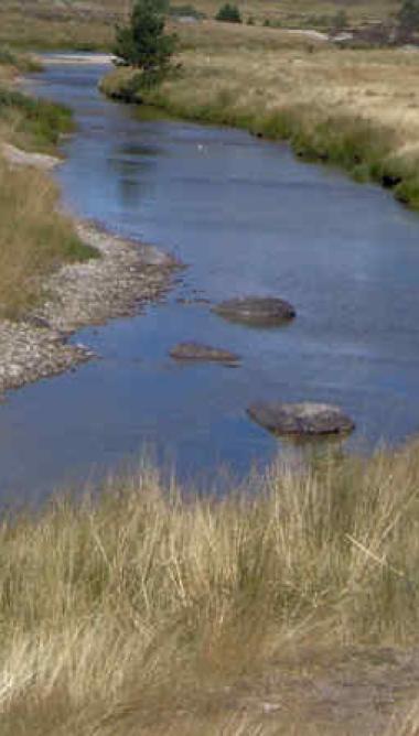 Circuit 5 jours entre Vallée Longue et Mont Lozère   -  5VML-5bis